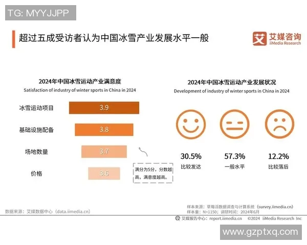 必一运动阶段节奏回顾与未来发展趋势的深度分析与展望