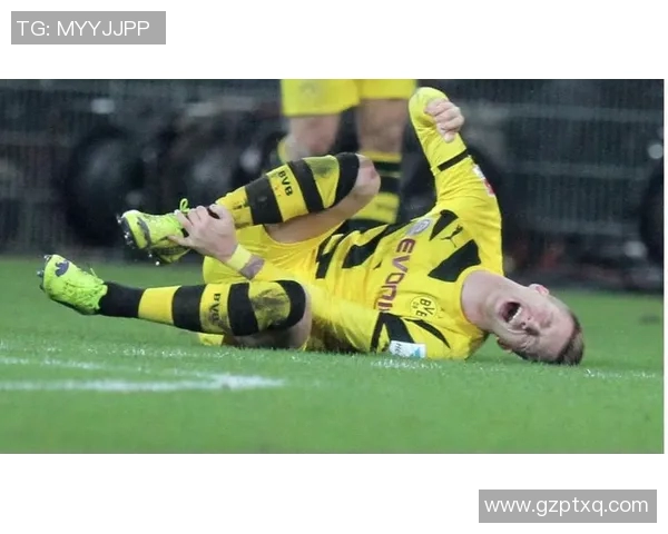 必一体育最新更新队员伤停信息助力球队备战新赛季