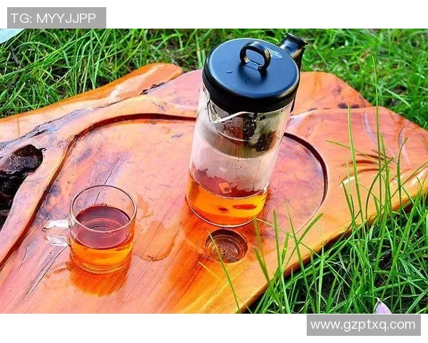 飘逸杯:摩登品味,唤醒生活的美好 飘逸杯:摩登品味,唤醒生活的美好